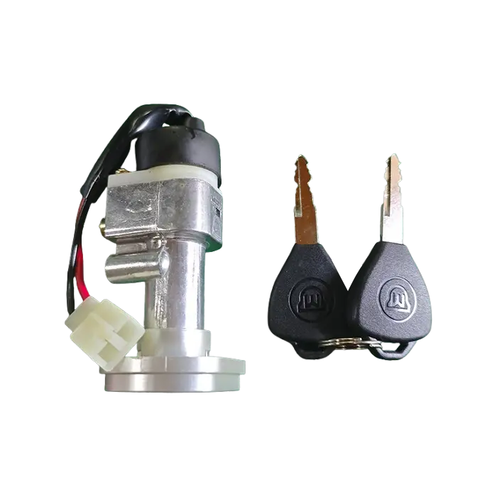 Electric Scooter အတွက် 2 အမျိုးအစားသော့ခတ်နှင့်အတူအဓိက switch ကို